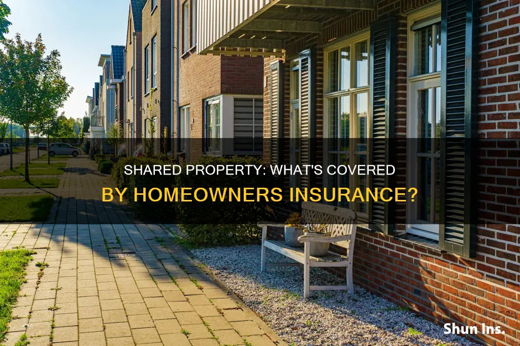 does homeowners insurance cover shared property