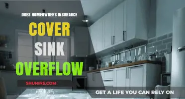 Homeowners Insurance: What to Know About Sink Overflow Coverage