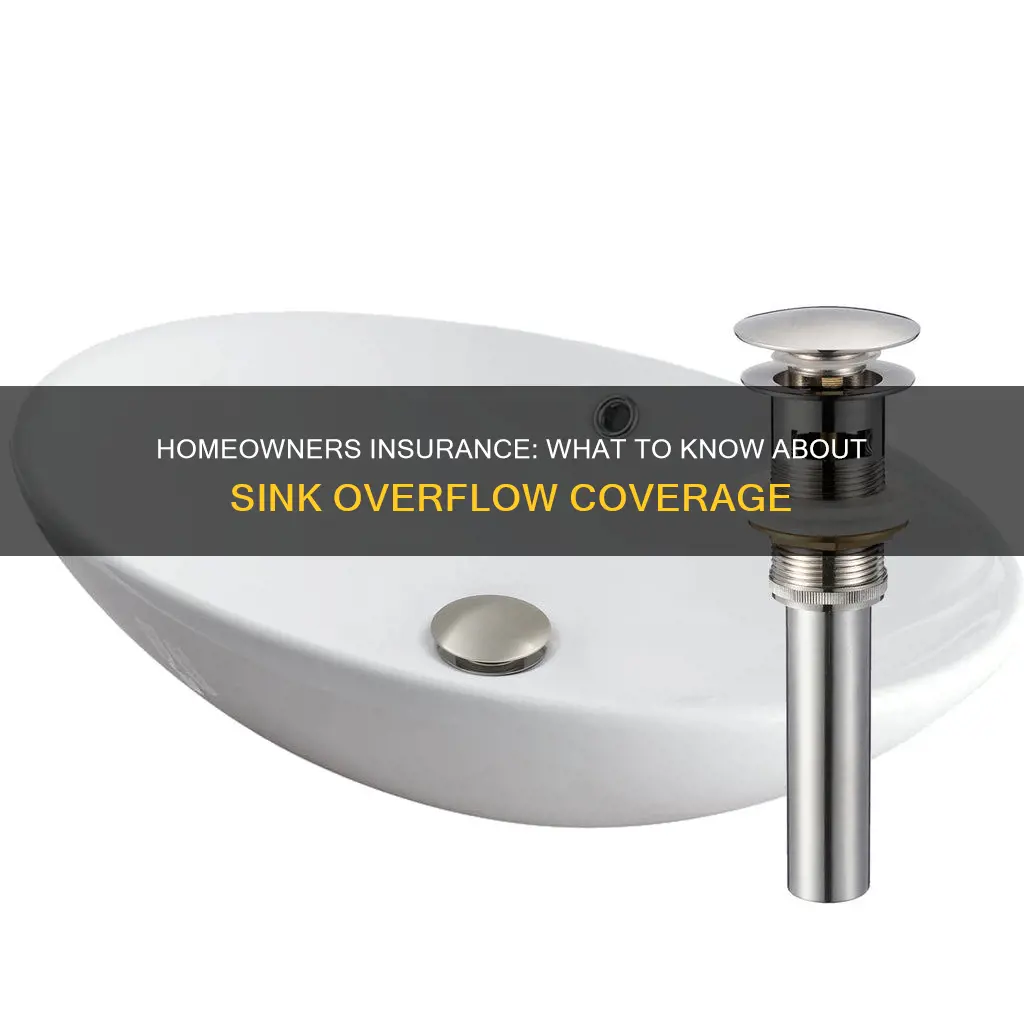 does homeowners insurance cover sink overflow