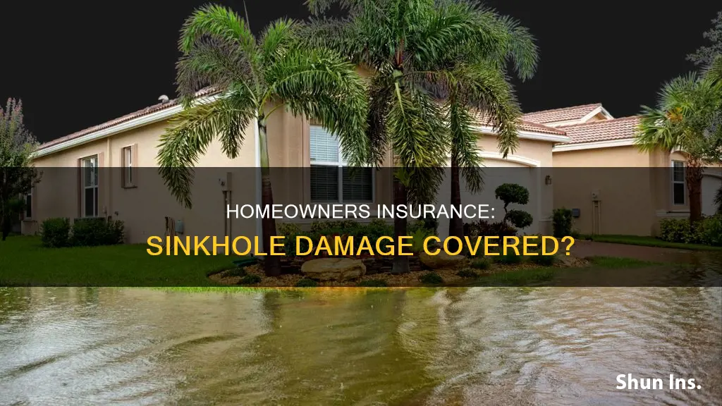 does homeowners insurance cover sinkhole damage