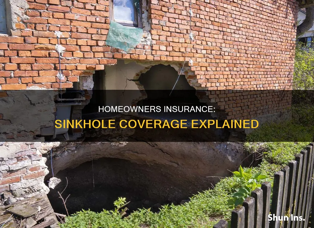 does homeowners insurance cover sinkholes