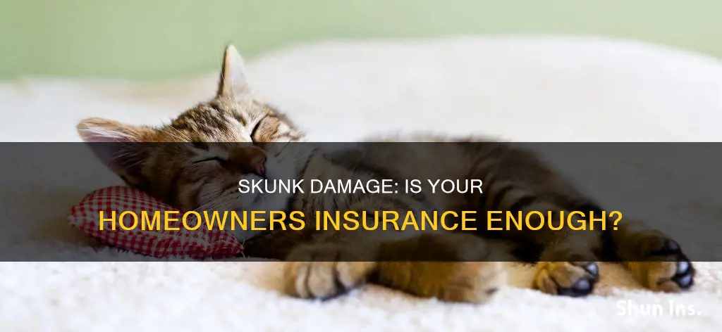 does homeowners insurance cover skunk damage