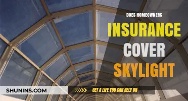 Homeowners Insurance: What's the Deal with Skylight Coverage?