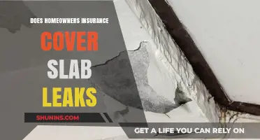 Homeowners Insurance: Slab Leaks Covered?
