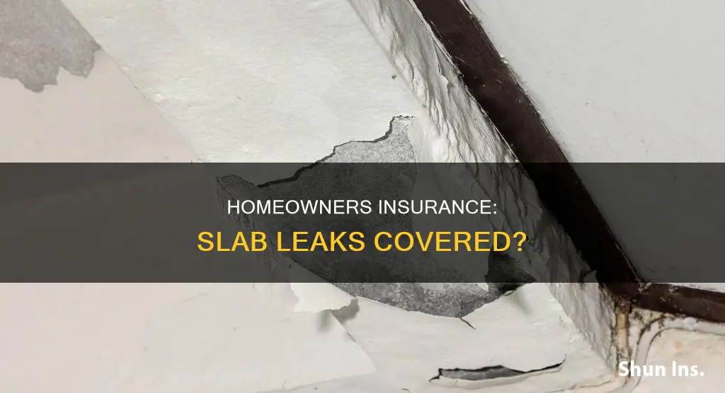 does homeowners insurance cover slab leaks