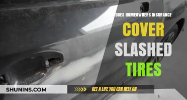Home Insurance: Slashed Tires Covered?