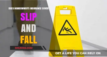 Homeowner's Insurance: Slip and Fall Coverage Explained