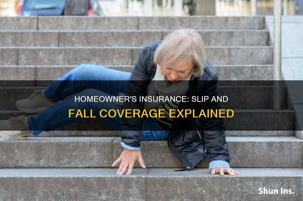 does homeowner