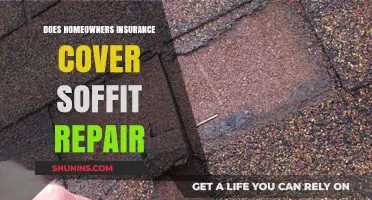 Homeowners Insurance: What's Covered for Soffit Repairs?