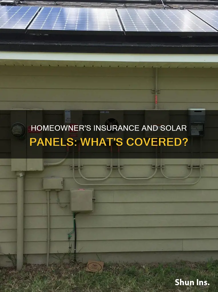 does homeowner