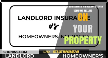 Homeowner's Insurance: What to Know About Injuries on Your Property