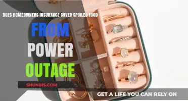 Home Insurance: Power Outage and Food Spoilage Coverage