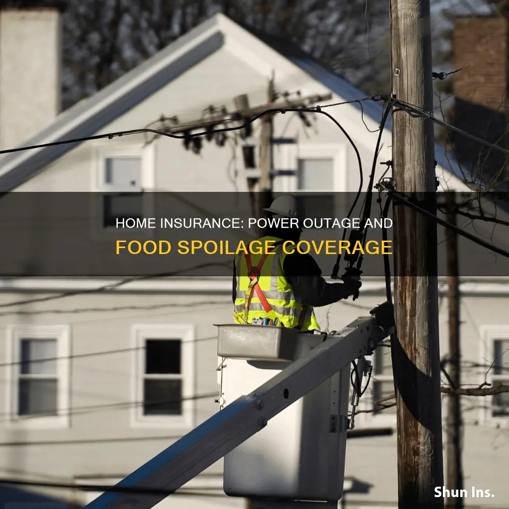 does homeowners insurance cover spoiled food from power outage