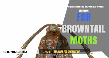 Home Insurance: Does It Cover Browntail Moth Spraying?