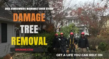 Homeowners Insurance: Storm Damage Tree Removal Covered?