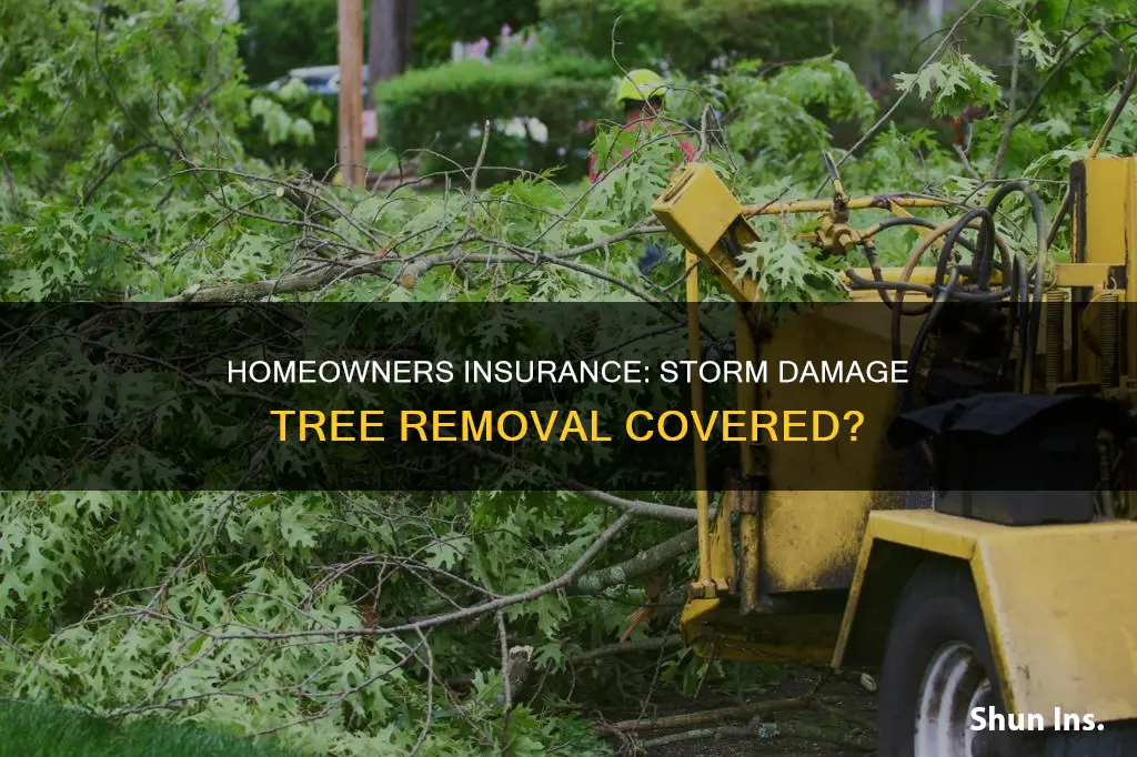 does homeowners insurance cover storm damage tree removal
