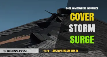Homeowners Insurance: Storm Surge Covered?