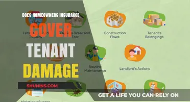 Tenant Damage: What Does Homeowners Insurance Cover?