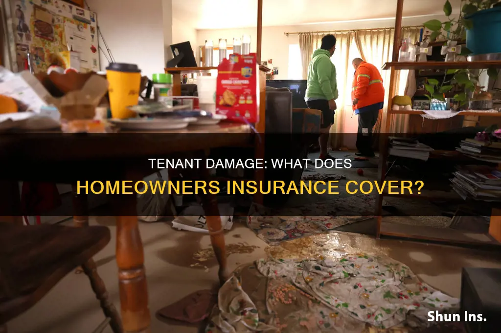 does homeowners insurance cover tenant damage