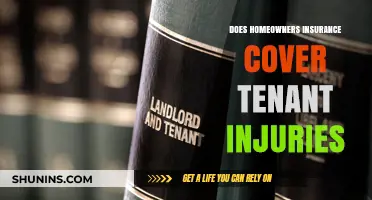 Home Insurance: Tenant Injuries and Your Liability