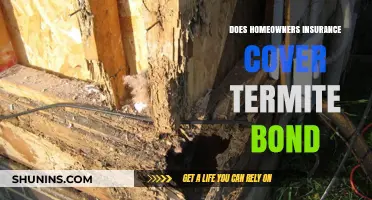 Termite Bond: Is It Covered by Homeowners Insurance?