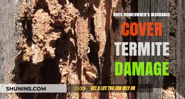 Homeowner's Insurance: Termite Damage Covered or Not?