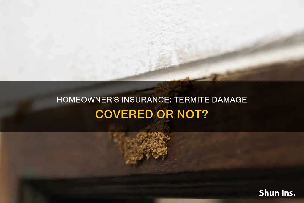 does homeowner
