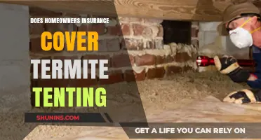Homeowners Insurance: Termite Tenting Covered?