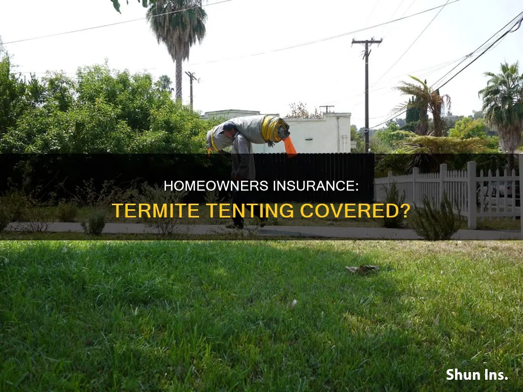 does homeowners insurance cover termite tenting