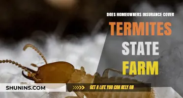 Homeowners Insurance: Termite Damage Covered by State Farm?