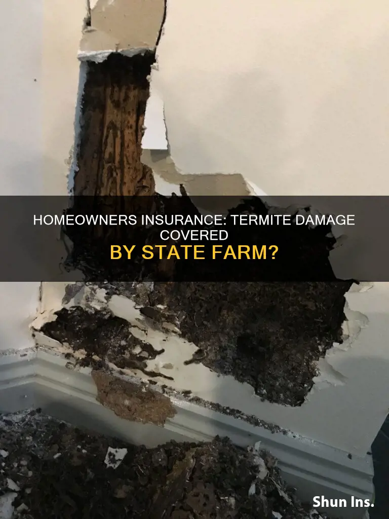 does homeowners insurance cover termites state farm