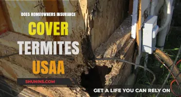 Termite Damage: Is Homeowners Insurance Enough?