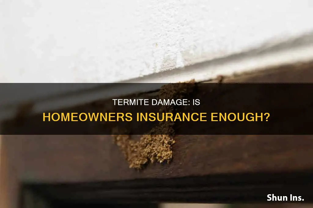 does homeowners insurance cover termites usaa
