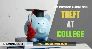 Theft at College: What Does Home Insurance Cover?