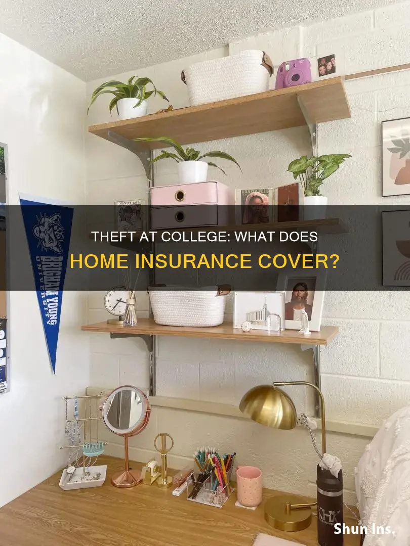 does homeowners insurance cover theft at college