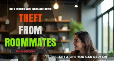 Home Insurance: Are You Covered for Roommate Theft?
