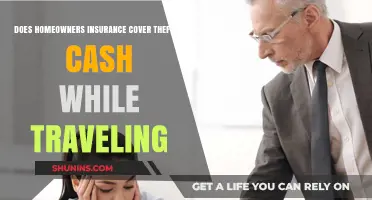 Traveling with Cash: Are You Covered by Home Insurance?