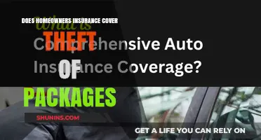 Home Insurance: Are Stolen Packages Covered?