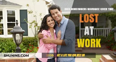 Home Insurance: Lost Work Time Covered?