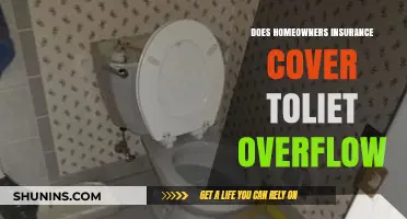 Toilet Overflow: Are You Covered by Homeowners Insurance?