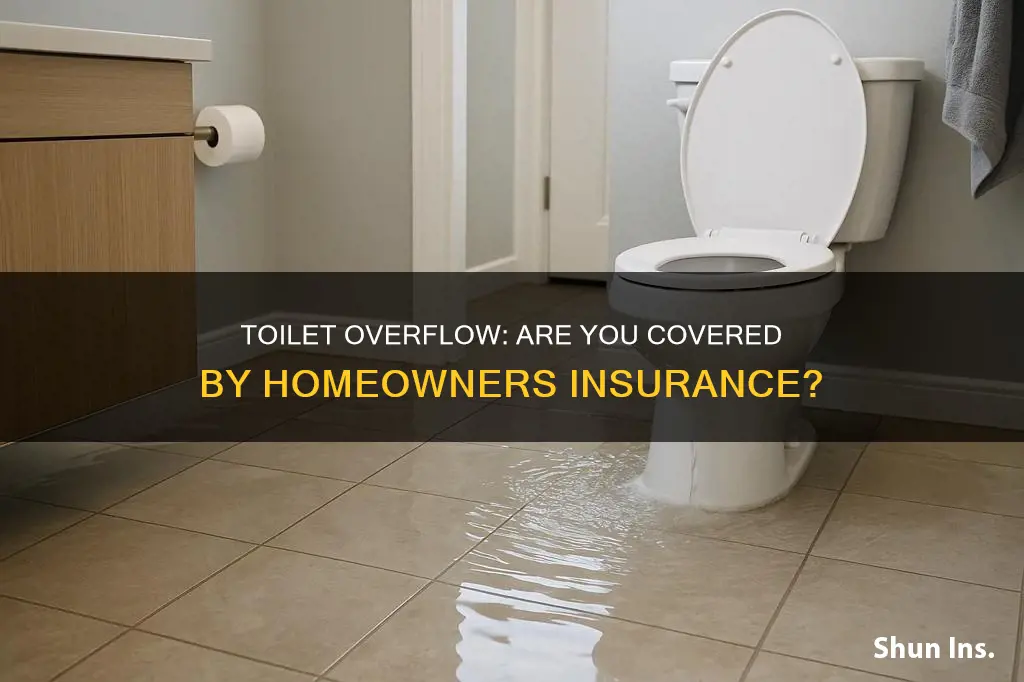 does homeowners insurance cover toliet overflow