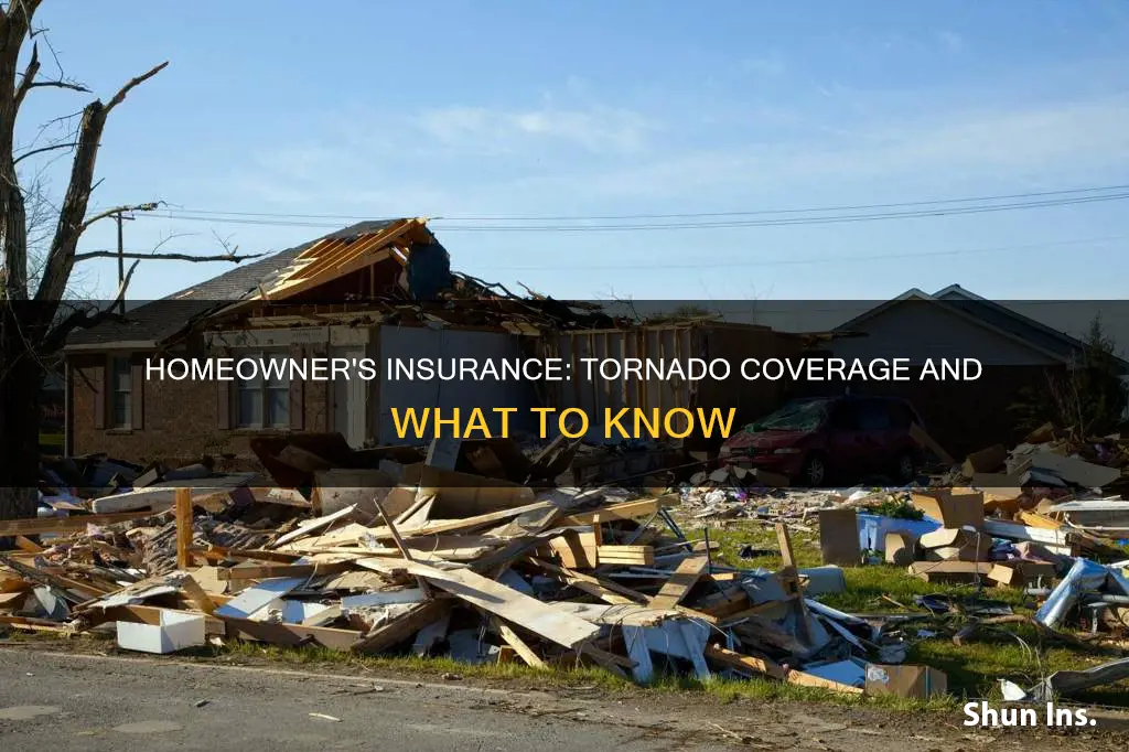 does homeowner