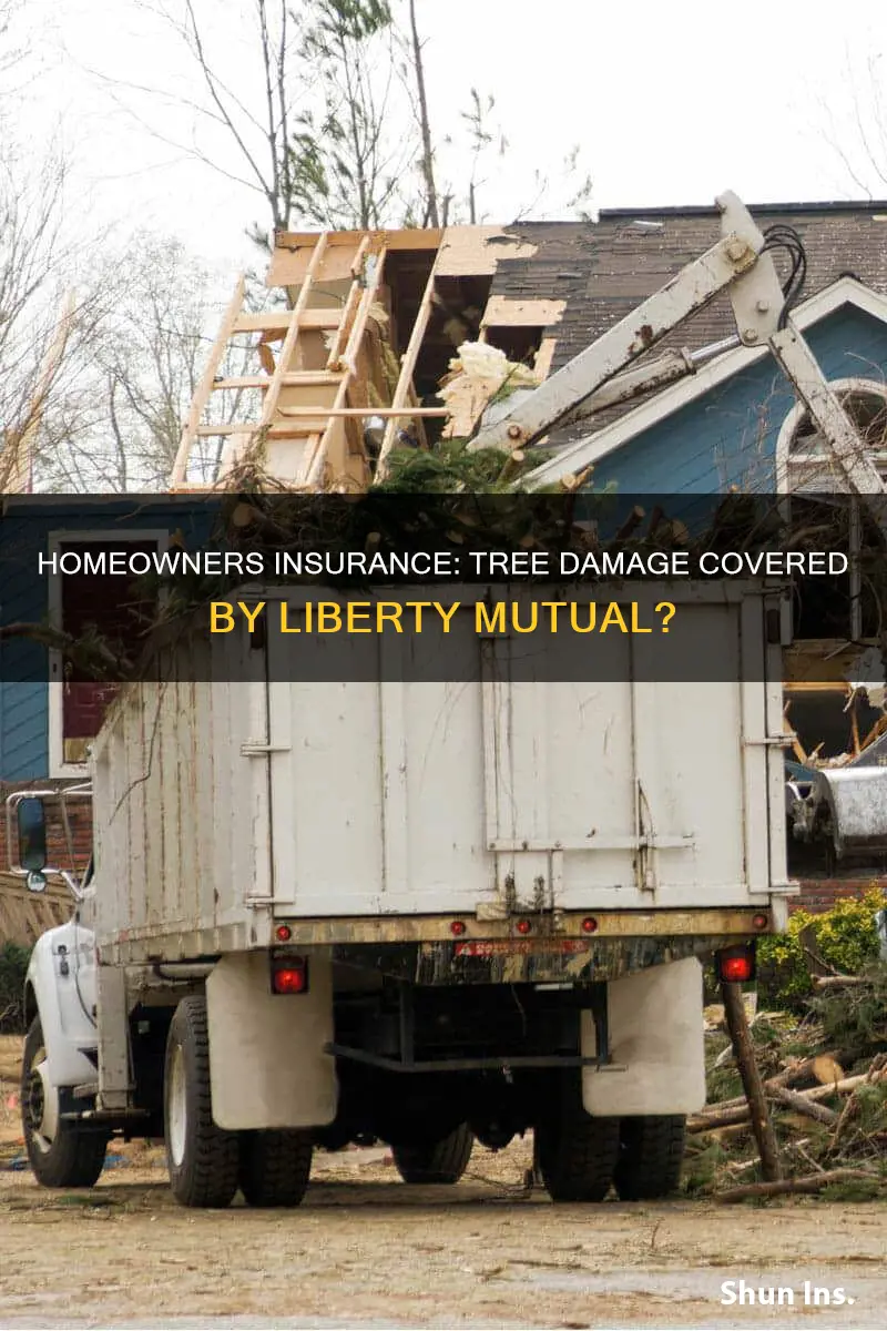 does homeowners insurance cover tree damage liberty mutual