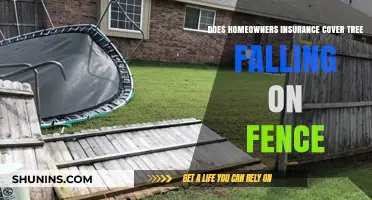 Home Insurance: Tree Fall Fence Coverage