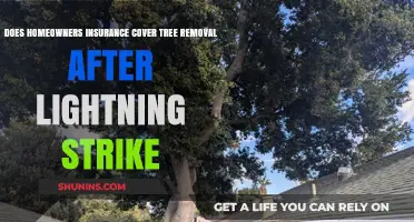 Home Insurance: Lightning Strikes and Tree Removal