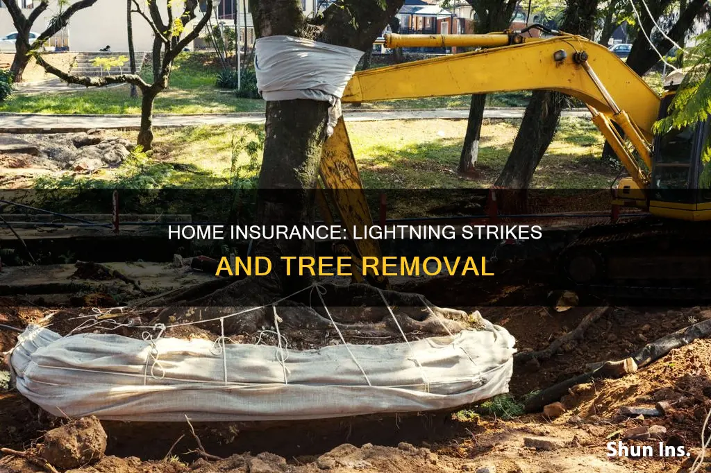 does homeowners insurance cover tree removal after lightning strike