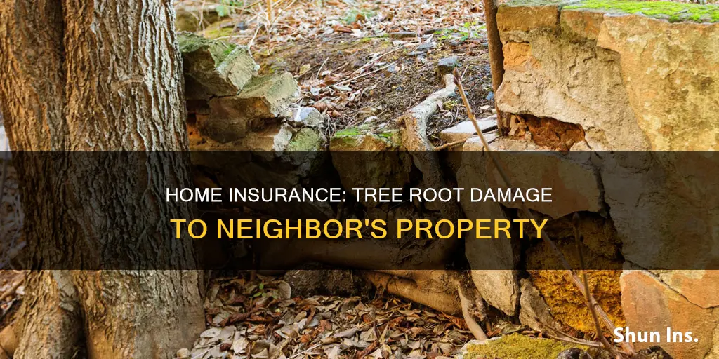 does homeowners insurance cover tree root damage to neighbor