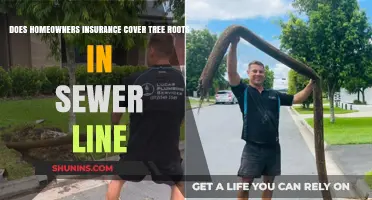 Homeowners Insurance: Tree Roots in Sewer Lines Covered?