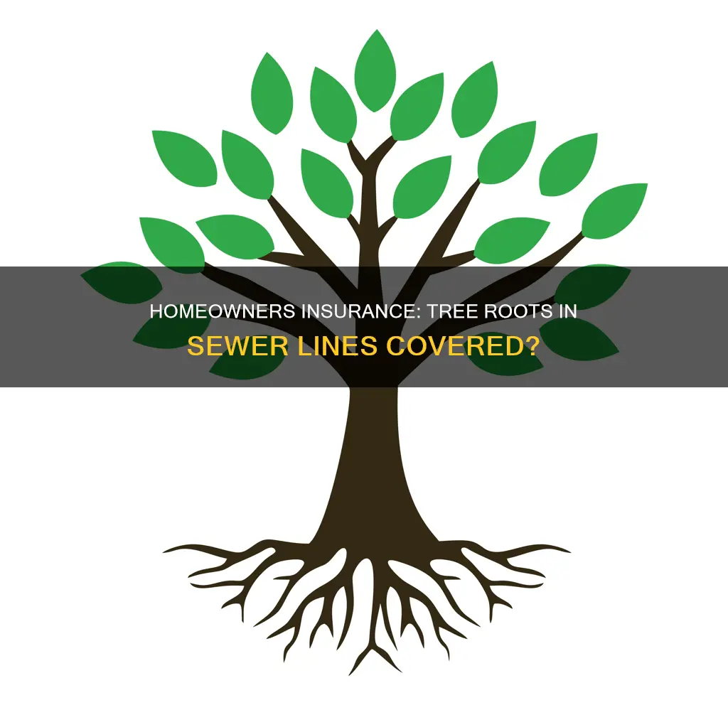 does homeowners insurance cover tree roots in sewer line