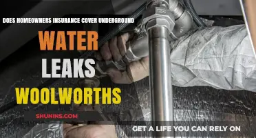 Homeowners Insurance: Underground Water Leaks, What's Covered?